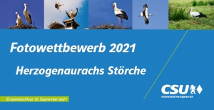 Fotowettbewerb Herzo Störche