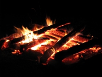 Waldweihnacht