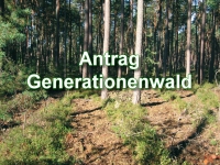 Antrag: Herzogenauracher Generationenwald